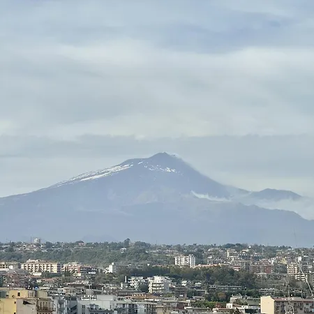 The View 11