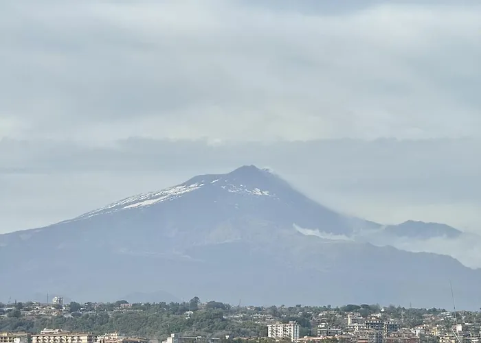 The View 11