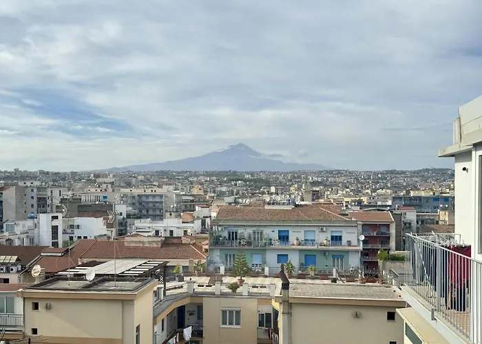 The View 11